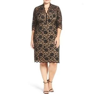 Karen Kane Scalloped V-Neck Stretch Lace Dress 1X